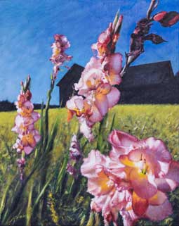 Painting of Gladiolus at Warren's Point